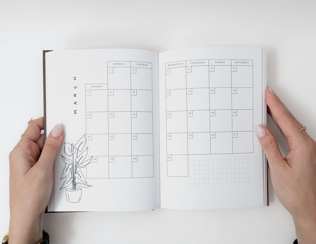 2027 Pre-Drawn Bullet Journal Planner