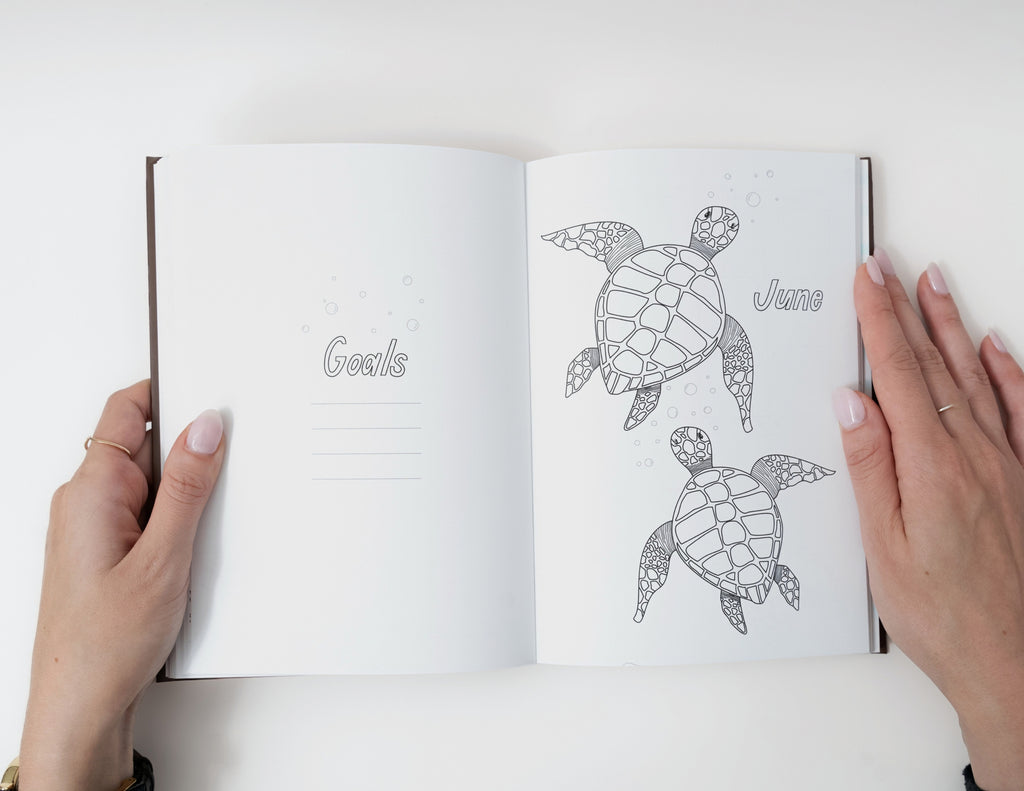 2027 Pre-Drawn Bullet Journal Planner