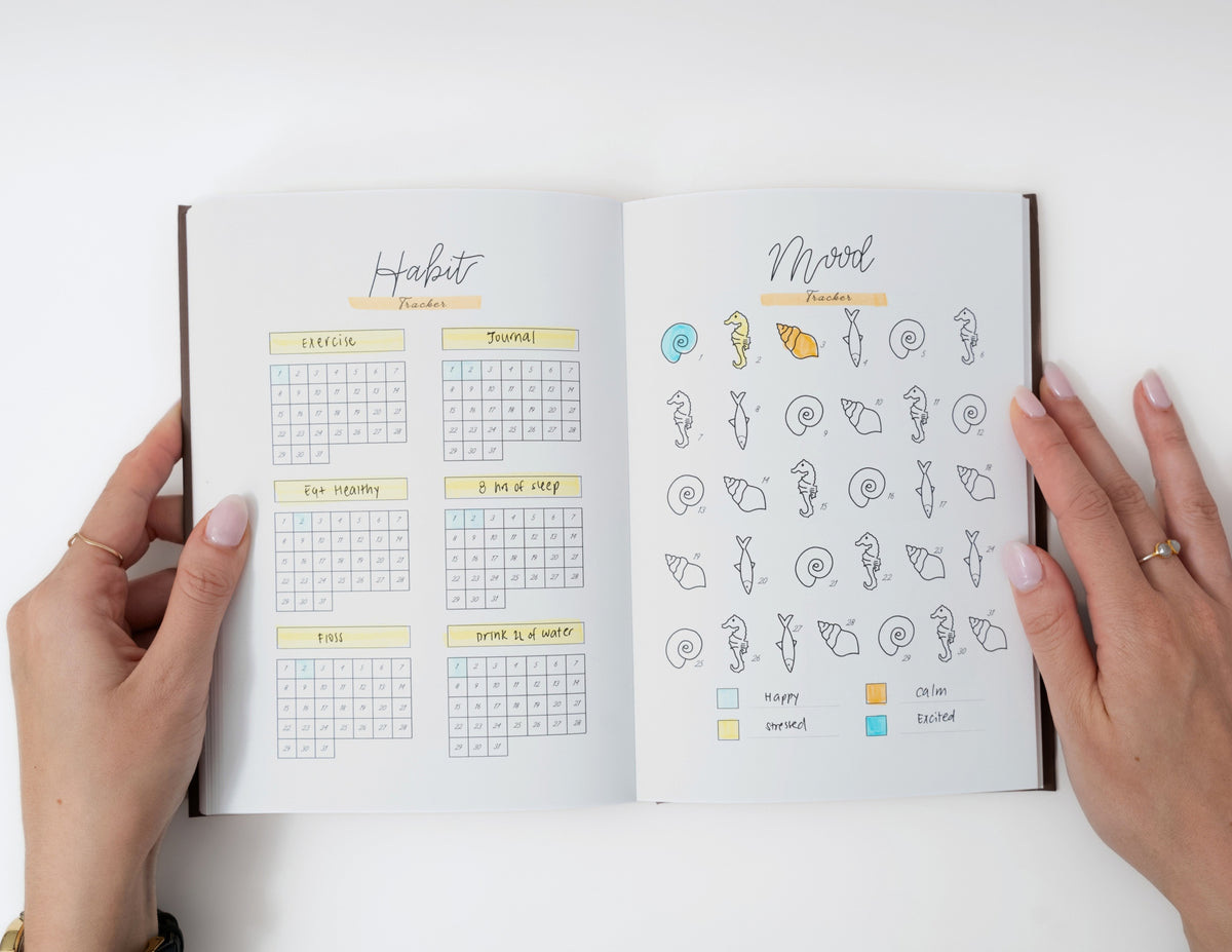 2027 Pre-Drawn Bullet Journal Planner